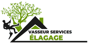 elagage-vasseur-services-elagage